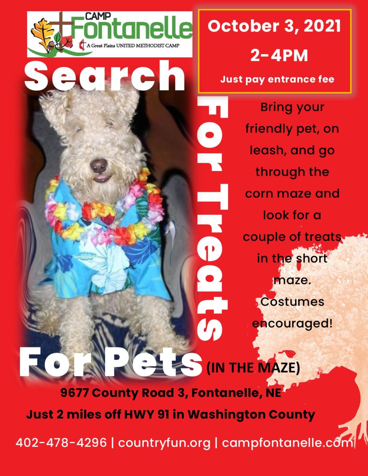Search-4-treats-4-pets.jpg